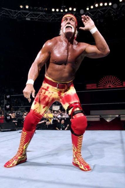 Images of Hulk Hogan
