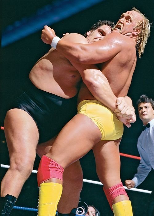Images of Hulk Hogan