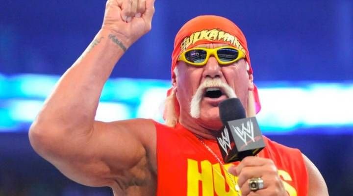 Hulk Hogan Net Worth
