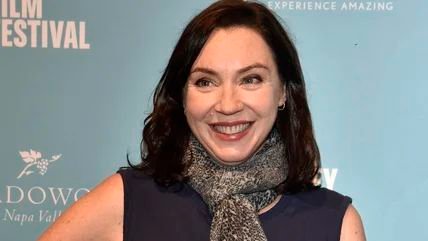 stephanie courtney net worth